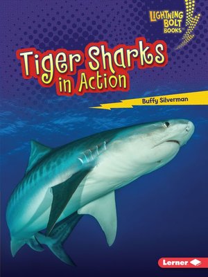 cover image of Tiger Sharks in Action